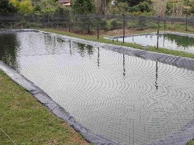 Lona para Tanque de Peixe