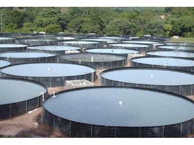 Tanque suspenso piscicultura