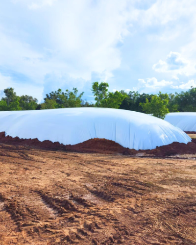 Filme de Polietileno