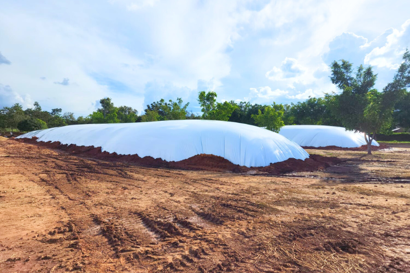 Filme de Polietileno